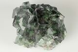 Green Cubic Fluorite Cluster With Purple Edges - Okorusu Mine #191985-1